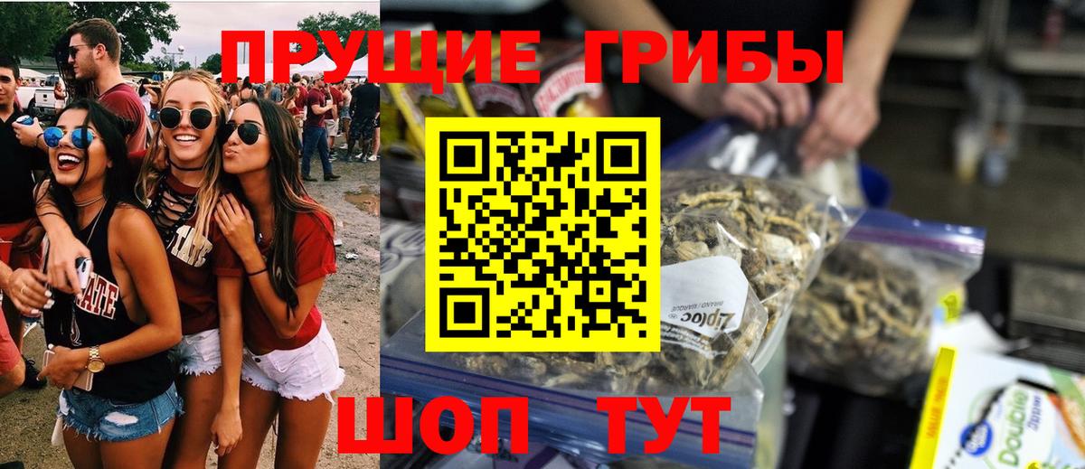 Бузулук  Галлюциногенные грибы Cubensis  Вход с VPN 